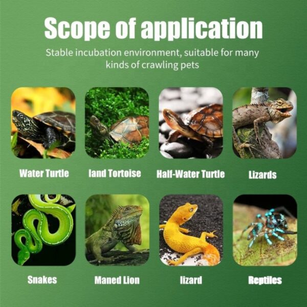 Automatic Egg incubators for Water Turtle Land tortoise half water turtle lizards snakes maned lion hizard reptiles