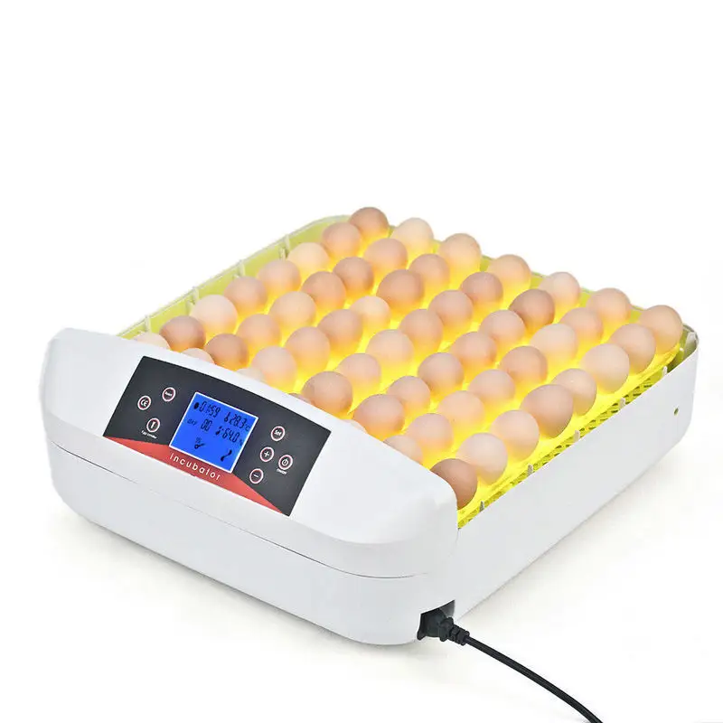 Top 5 Best Reptile Egg Incubators Fuhui Appliances