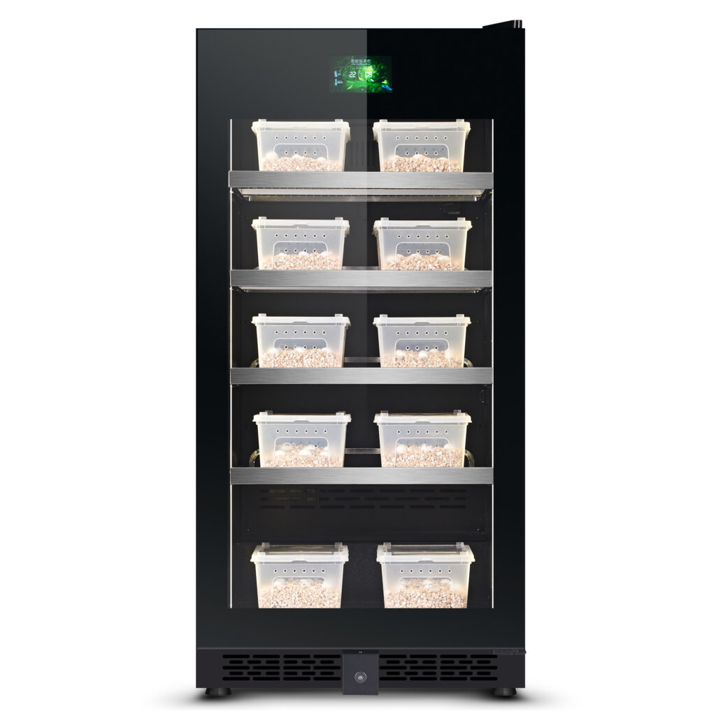 Intelligent automatic temperature regulation incubator