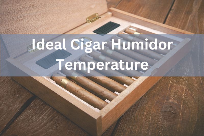 Achieving the Ideal Cigar Humidor Temperature Key to Perfect Puffing Fuhui Appliances