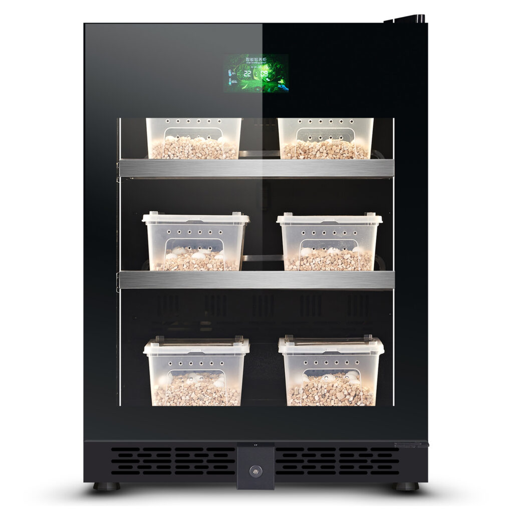 Egg Incubators – Uboze Appliances