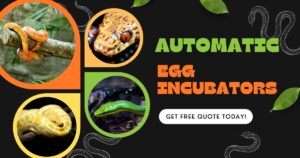 Couveuses automatiques_ Contrôle intelligent de la température et de l'humidité pour les reptiles