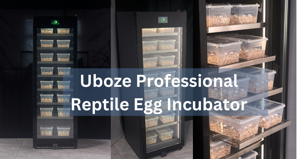 Uboze professional reptile egg incubator
